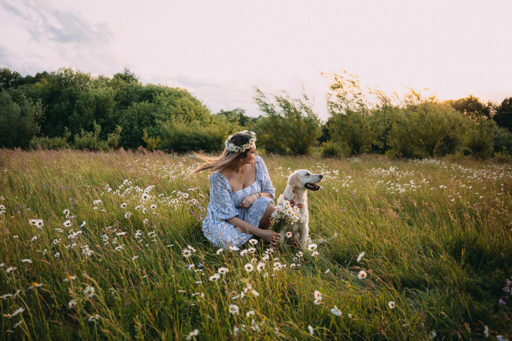 Focení zlatého retrívra s paničkou v kopretinách při západu slunce fotografkou z Českých Budějovic